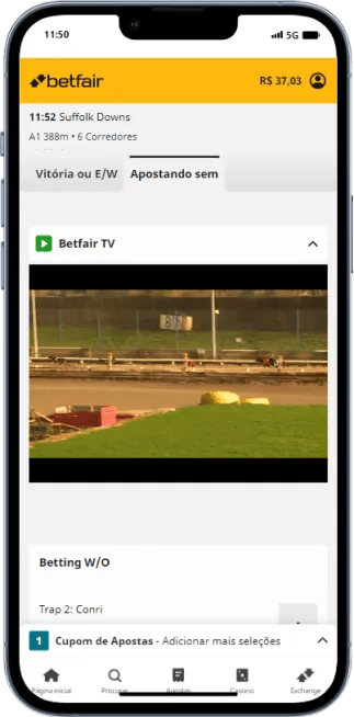 Segundo exemplo de corrida de galgos ao vivo na Betfair.