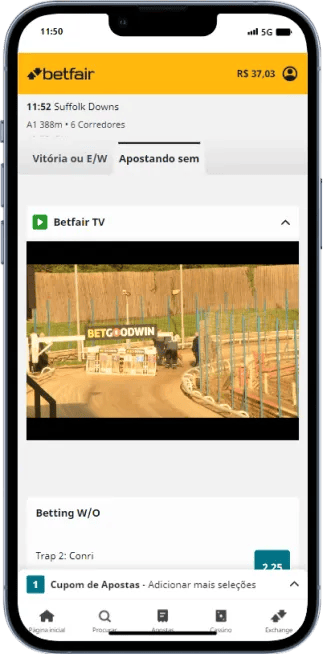 Exemplo de corrida de galgos ao vivo na Betfair.