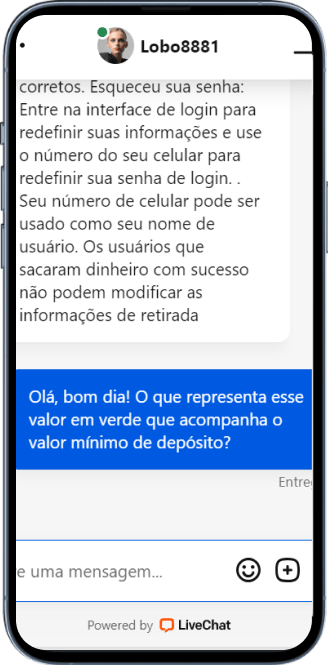 Sem resposta da Lobo 888 à dúvida do usuário