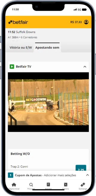 Exemplo da corrida ao vivo na Betfair.